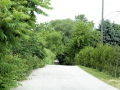 McCowan_Road_Cemetery (10)