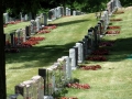 Pardes_Shalom_Cemetery (1)
